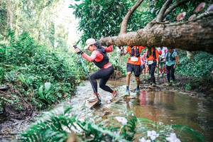 BIB: 
                            <button type="button" onclick="openModal(25515173)" class="btn btn-primary btn-sm float-right btn-popup" data-toggle="modal" data-target=".modal-high-quality">
                        <i class="fas fa-shopping-cart"></i> Add to Cart
                    </button>
                                            <button type="button" onclick="isThisMe(25515173, true)" class="btn btn-success btn-sm float-right btn-popup btn-isme hidden" data-toggle="tooltip" data-placement="bottom" title="นี่คือรูปของคุณใช่ไหม คลิกที่นี่เพื่อเอาเข้าอัลบั้ม">
                        <i class="fas fa-plus"></i> Add to album
                    </button>
                    <button type="button" onclick="isThisMe(25515173, false)" class="btn btn-warning btn-sm float-right btn-popup btn-isnotme hidden">
                        <i class="fas fa-ban"></i> Remove from album
                    </button>